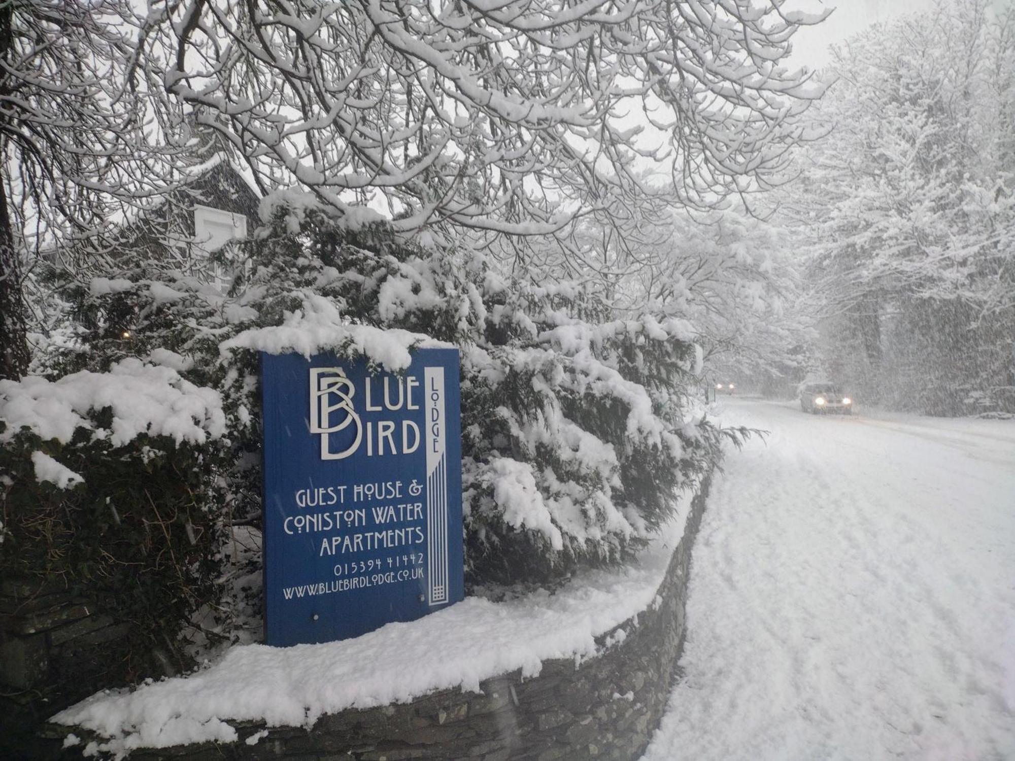 Bluebird Lodge Coniston Exteriér fotografie